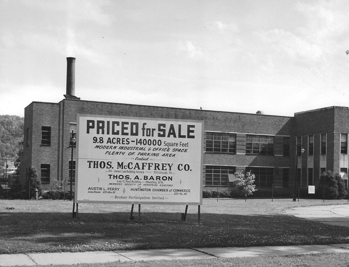 The Sylvania Plant Clio